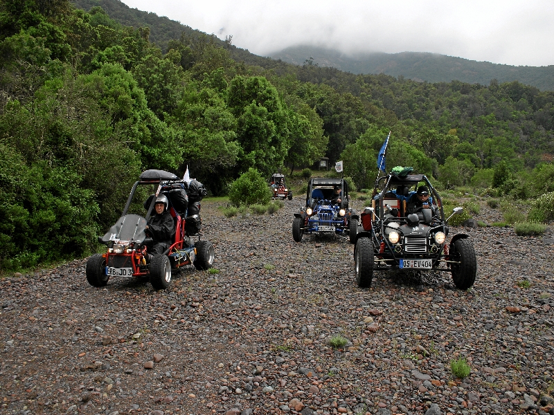 IMG_8313_2008_05_ffa